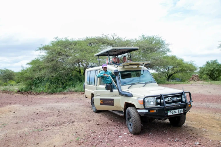 African Luxury Safaris